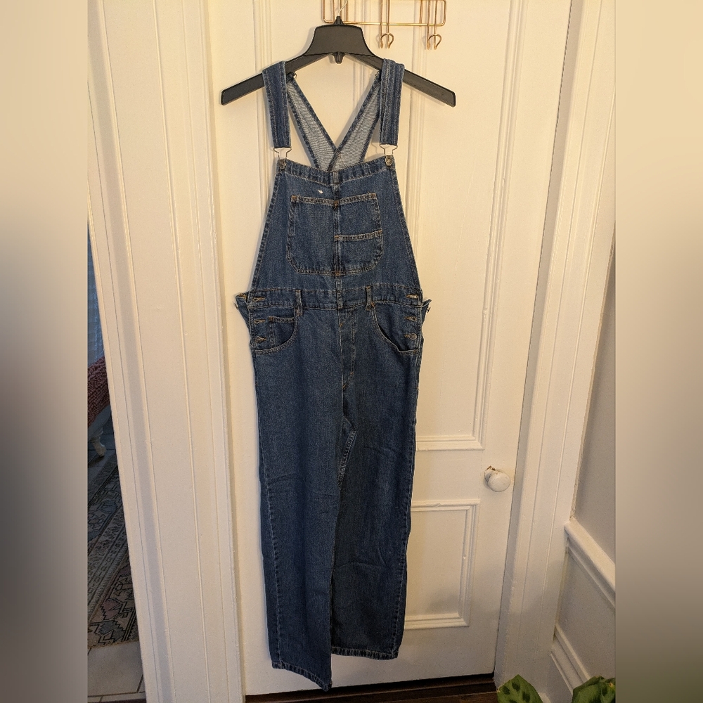 Free People Denim Overalls
